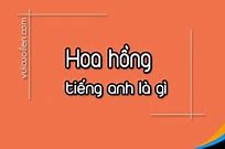 Báo Hồng Tiếng Anh Là Gì