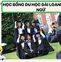 Hệ Ngôn Ngữ Đài Loan 2022 Pdf Download