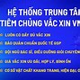 Hệ Thống Vnvc Bình Định