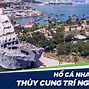 Hồ Cá Trí Nguyên Ở Đâu