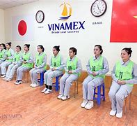 Tư Vấn Du Học Vinamex Hà Nội Tuyển Dụng Viên Chức