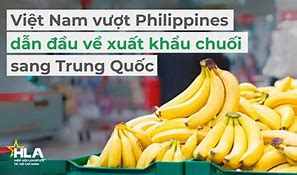 Việt Nam Xuất Khẩu Chuối Sang Trung Quốc